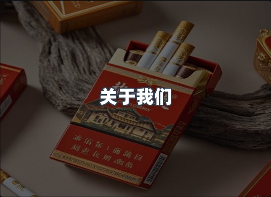 关于我们